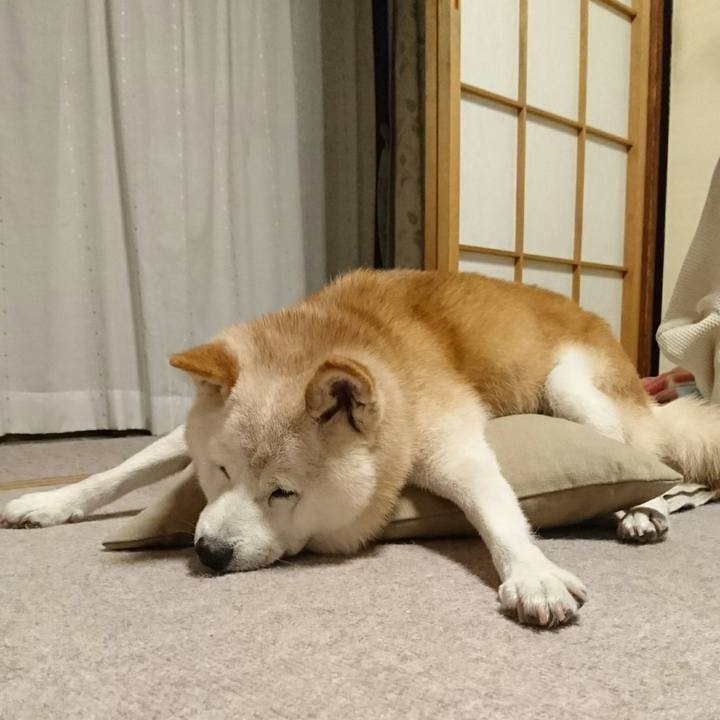 380d20be 866c 41ef 9be4 670543200465