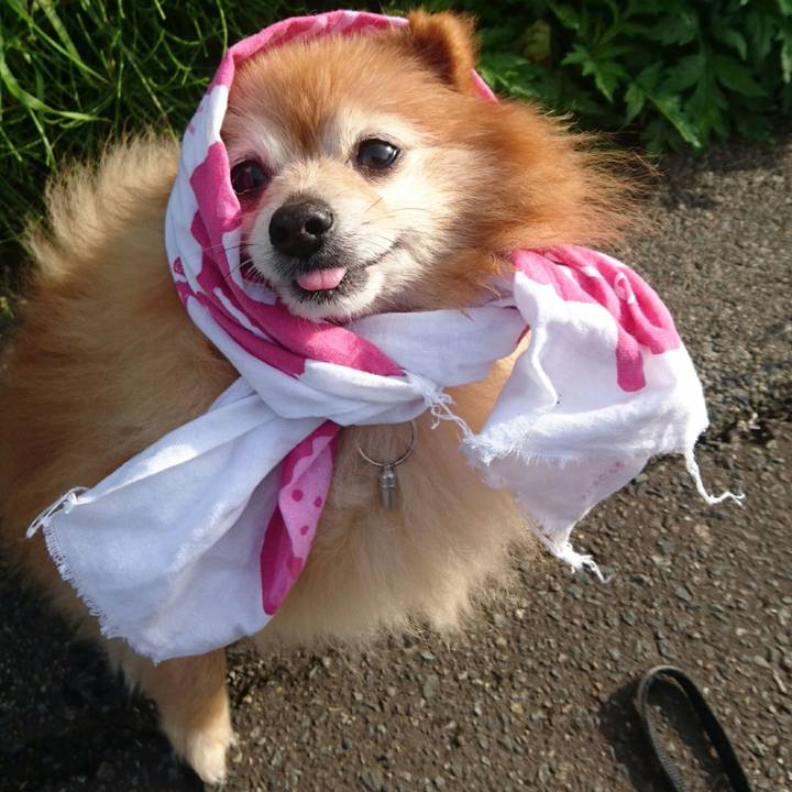 380d78cf c84b 4428 acbb bbf021e927f6