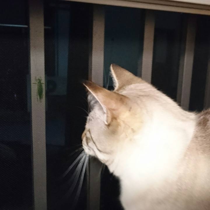 380e34de 9dc3 470e 8d9b 51c0813a4ce1