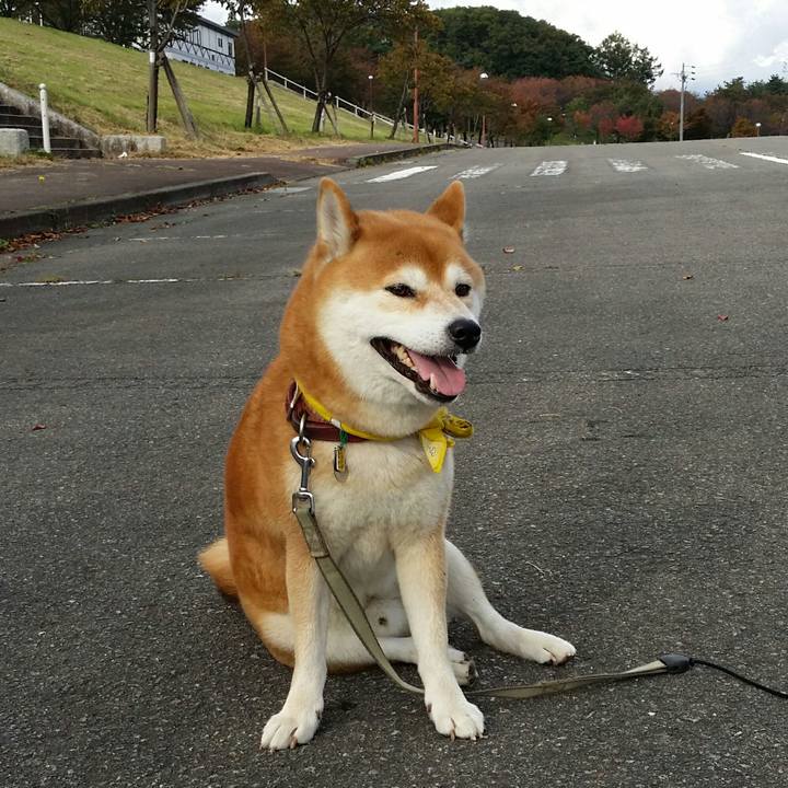 380ed42d 6a7f 4a84 8899 689792d6bc0c