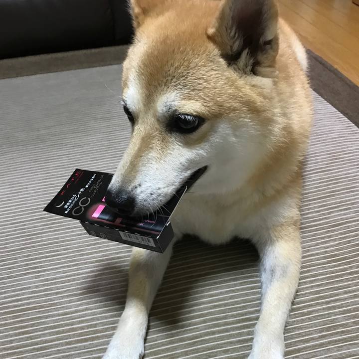 380eff92 3c38 4dad a946 c3f7463d2522