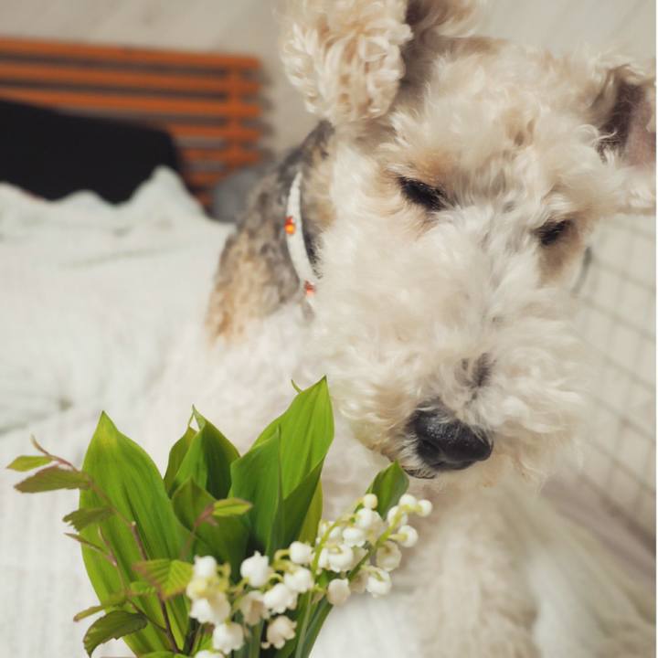 380f914e 813e 49c1 ad05 d5c7cf7c0b0d