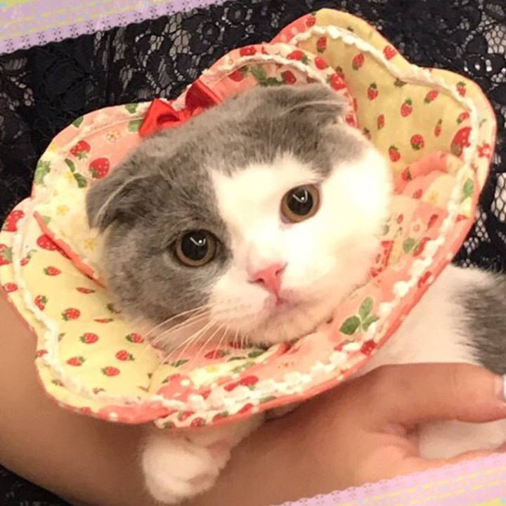 380ff73d cdc4 40c1 a23d e09a8c540ef3