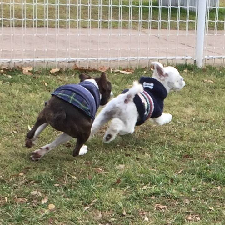 3810032b 451a 41f8 9e23 55356a0600d4