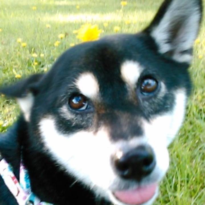 3810a963 c772 4eed 8c65 9703ec0059ac