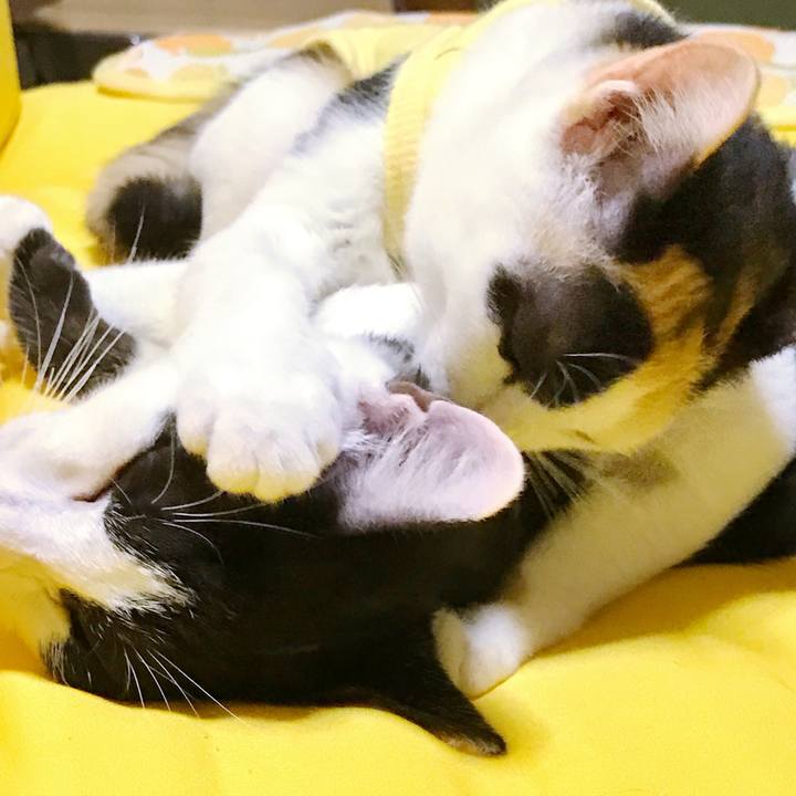 38110962 3d65 448b a0d7 6dad3d6dbd82