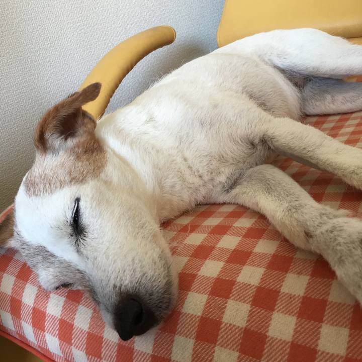 381117f1 f725 4cc9 b93b a851b310a54a