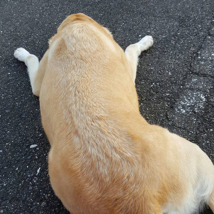 38112e2e 2f8f 4148 ba98 bac9888cfe82