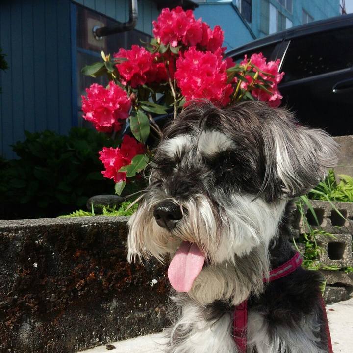 38113ab6 a420 4192 bb81 24686e1ae228