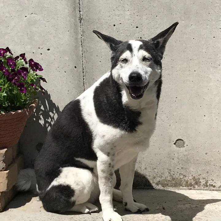 3811adeb b485 47b2 aa7a 262202426abc