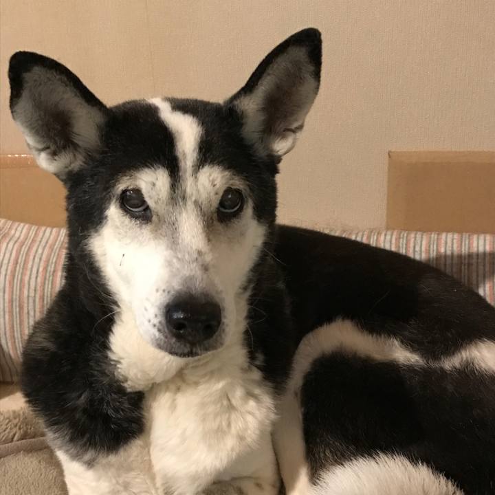 3811d1da ee62 4fc3 b95b 1105023eac61