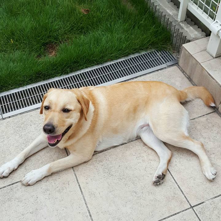 3811da78 16ac 4b31 aee2 315f482e98bc