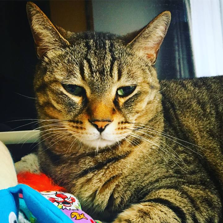 38127987 fa10 4b89 a8db 43af871cd510