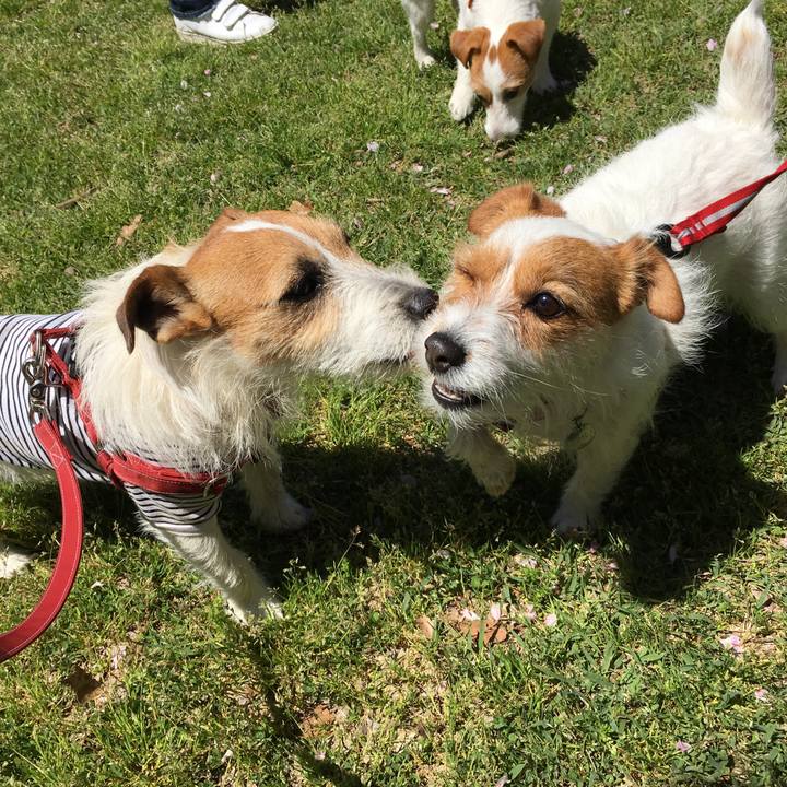 38128d47 30a2 47e8 876a 4052ae6672a4