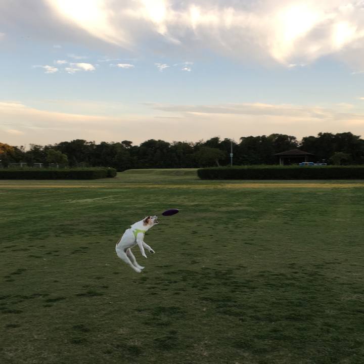 3812ef39 d4b1 470a 8e10 eb2069606d8e