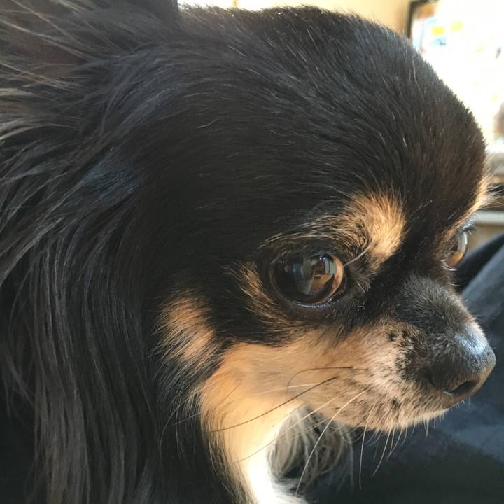 38130e81 1bad 42cd a0b9 7582a3405497