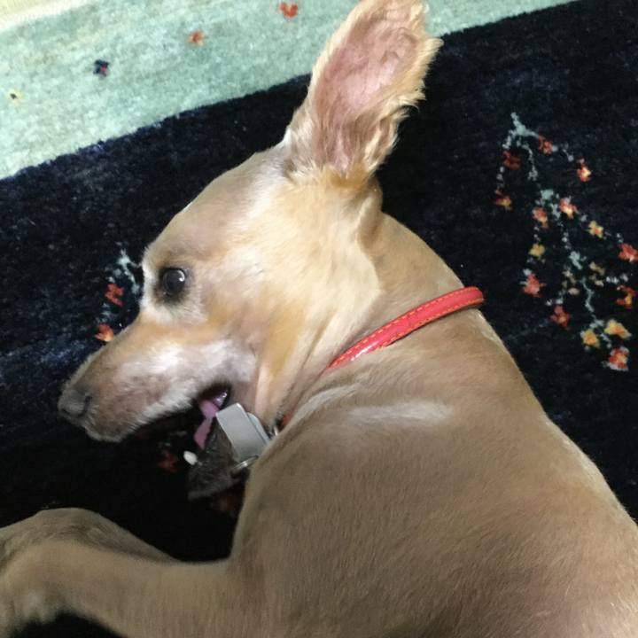 3813f738 5d07 4def a8a8 52d31b38ee11