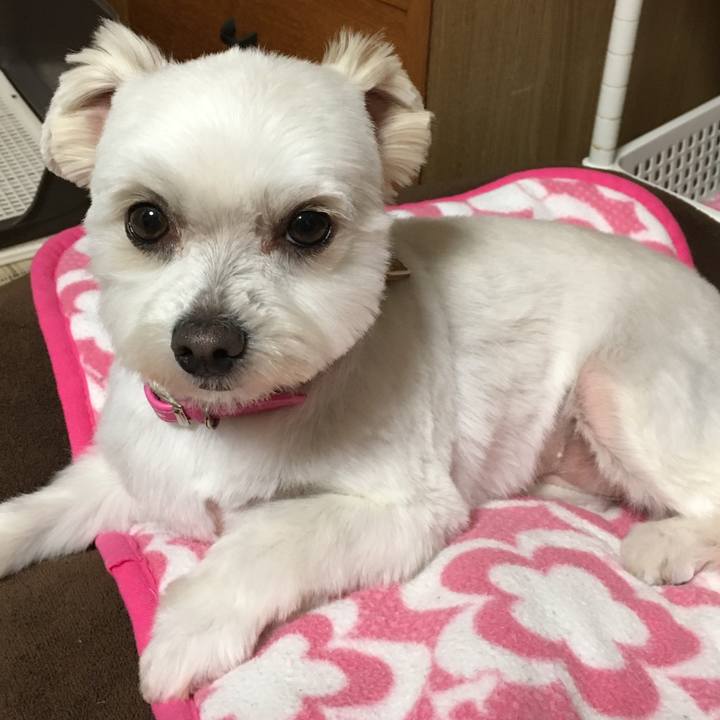 38148e4a ed1e 44fd 9a14 0baecc992e4d