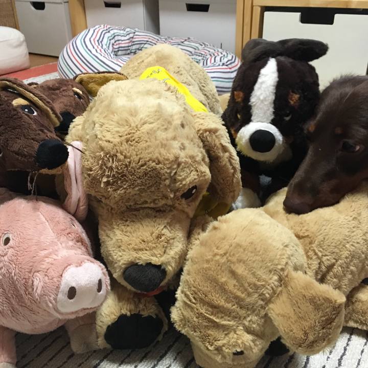 3814d53f 5be1 48bc 8012 6ac31de23886