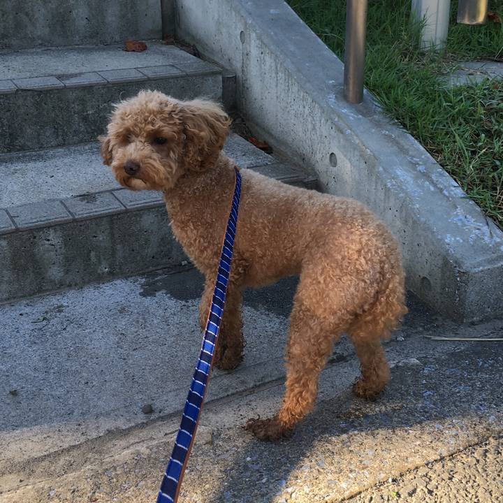 3814db2b 5470 48d0 9f7d 33e19934f59b