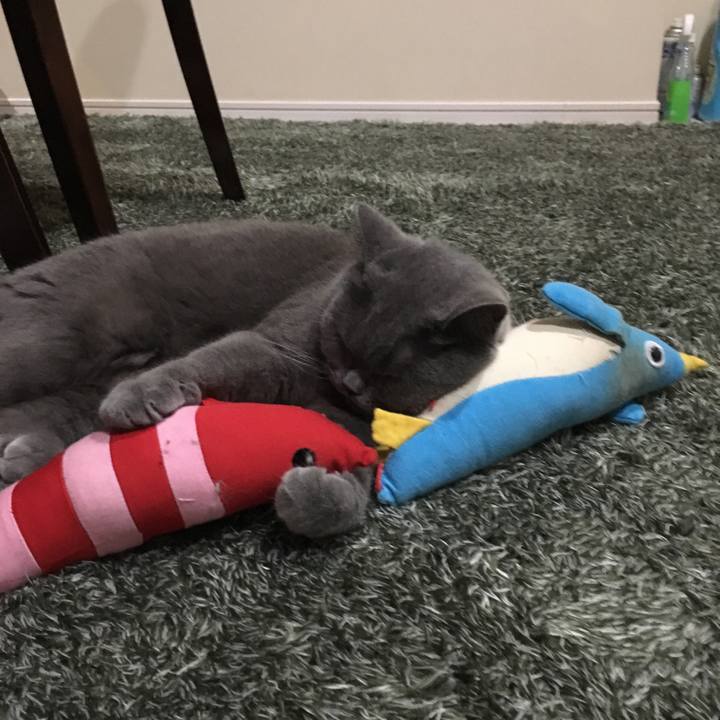 38153c8b da42 4268 92bd e501edcb0a21