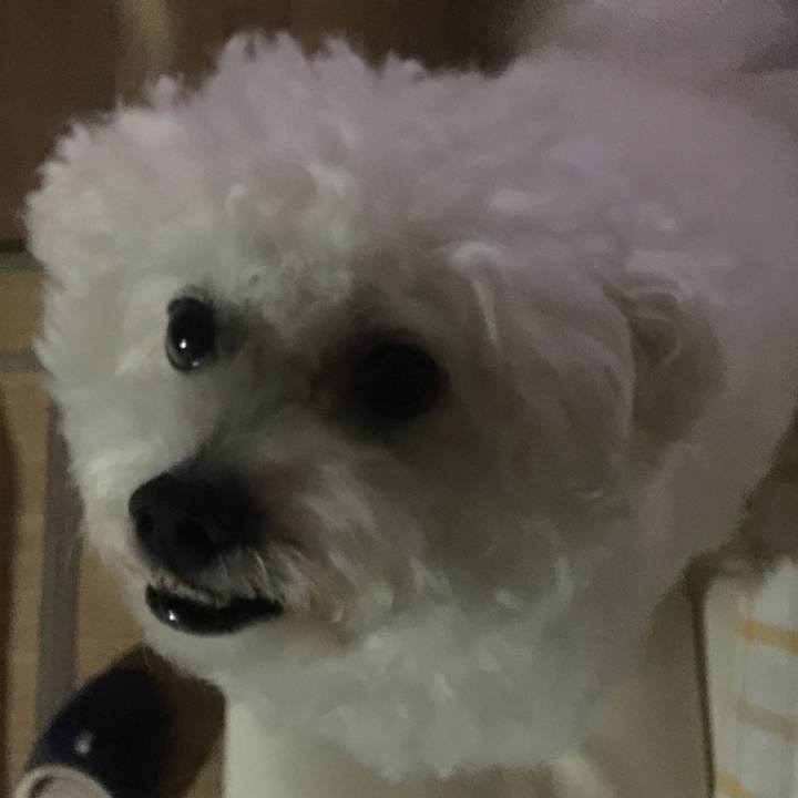 381597e3 6c06 4704 9c52 29b81772d3f8