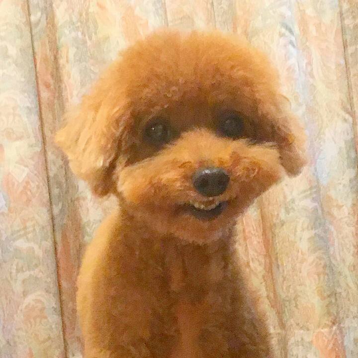 38159f36 941b 4ff4 9738 a195964f3699