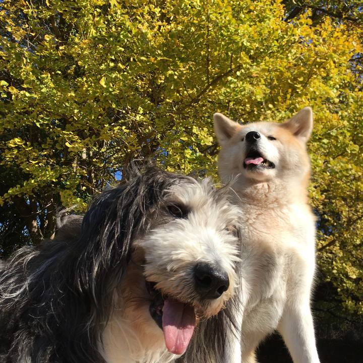 38170b3c e7b4 417b a47e 8213edf40c3a