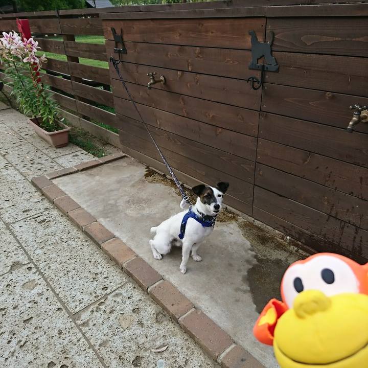 38173183 4c30 49f2 8353 f627130acbd9