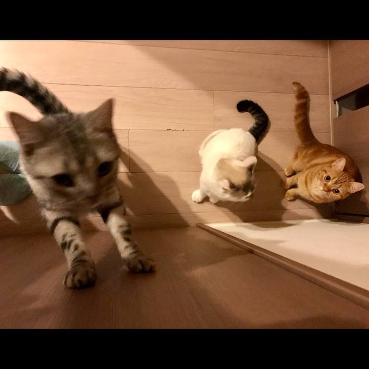 381767f8 ac25 4b47 b327 d1b9362a7e27