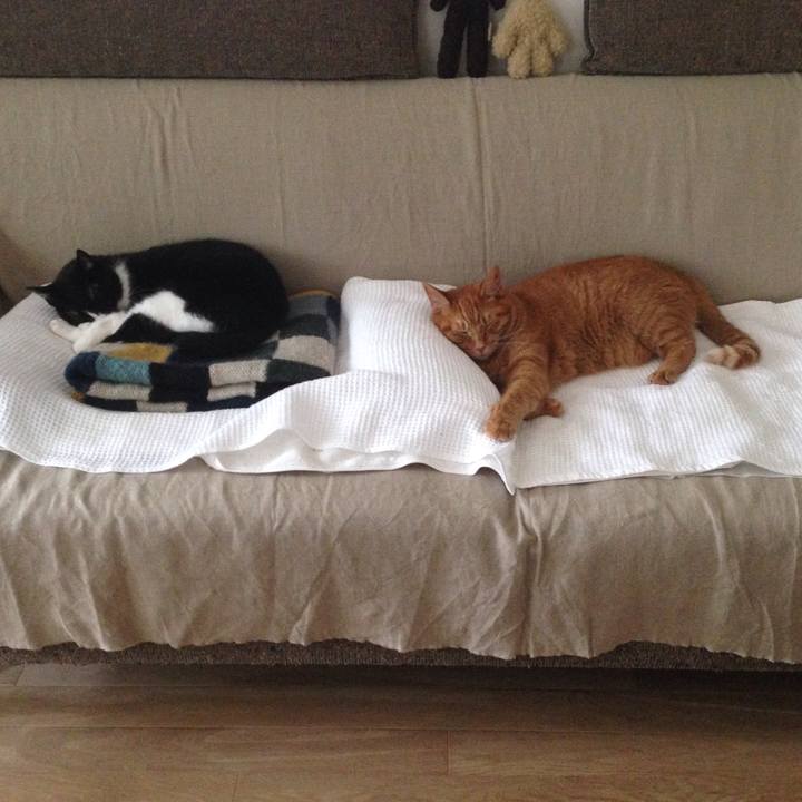 381924db 9d0f 46c8 adce 22754295a459