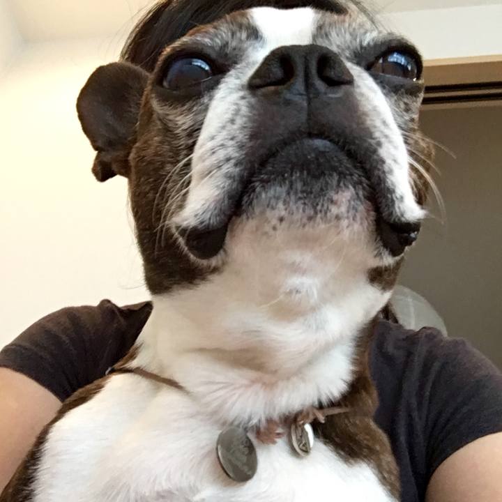 38193cbf b498 4698 9ab2 8a2c8df5541b