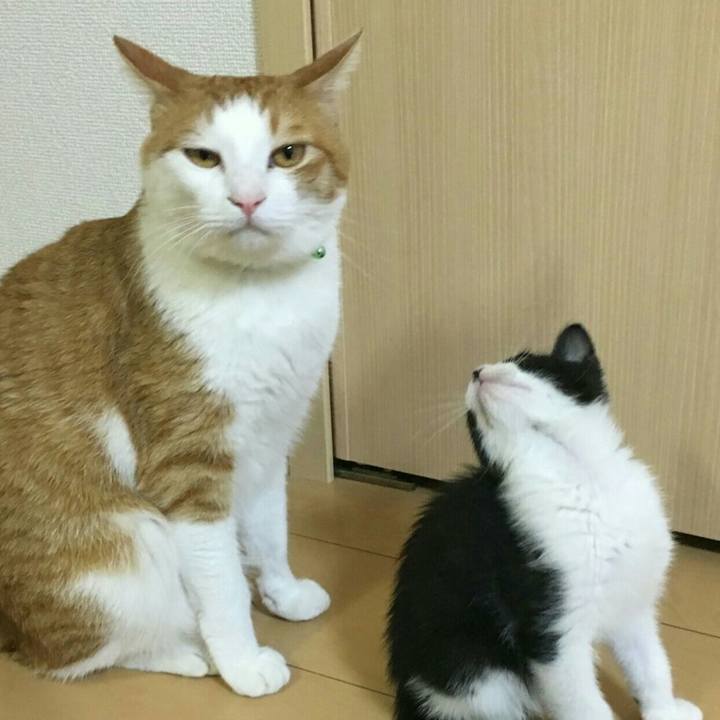 3819f12d 5ee2 4e4e 8575 e44f5a23c284