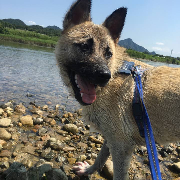 381af5b0 2883 4043 8761 6e3cba64af55