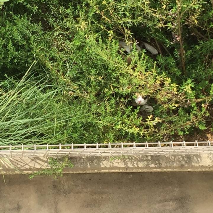 381b2c4f 0ec3 46b0 bee3 3b5329660fbf