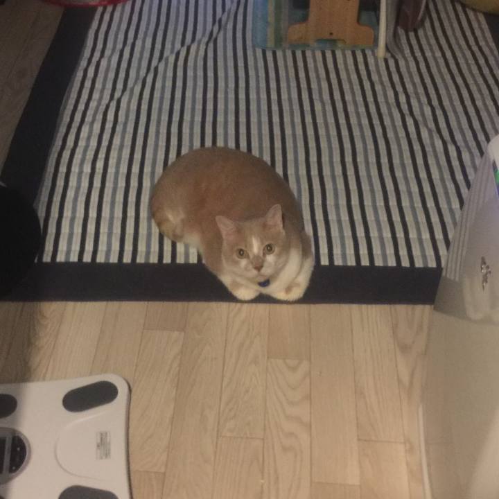 381b86ed 5cea 4d1c 9ad2 ae2a5d484249