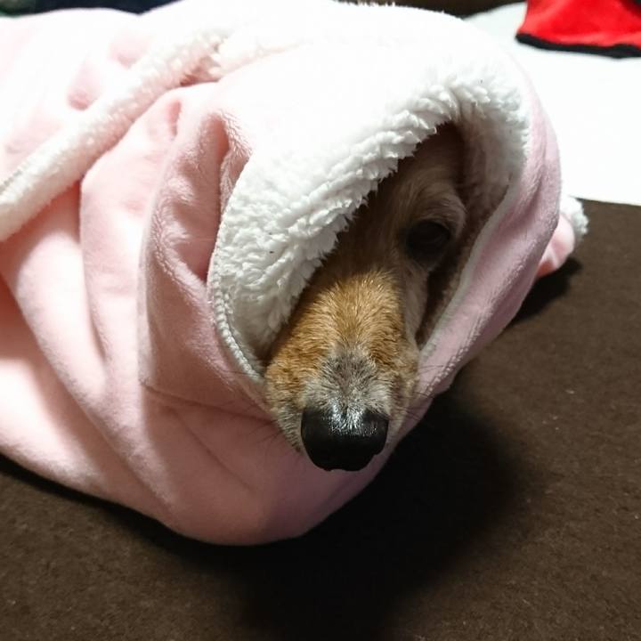 381ba589 058e 41fa 9970 12ebe9fe4040