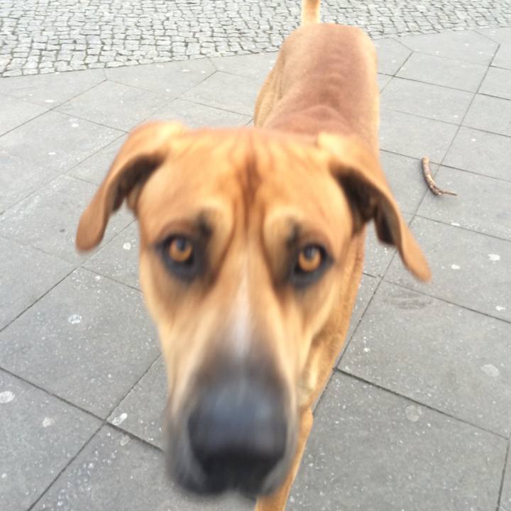 381baaeb 9734 4873 96a5 0c064f3abe0c