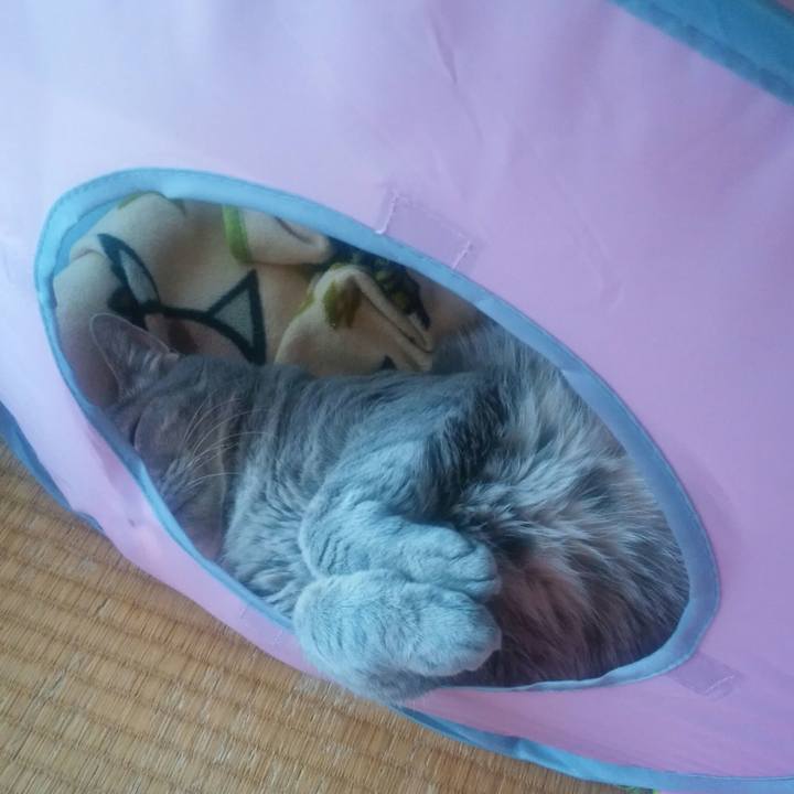 381cdfb5 cc6e 45c9 ad3f f564c642f697