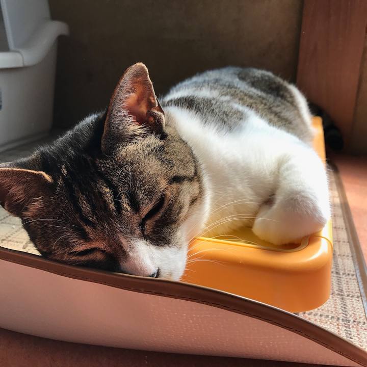 381dc654 ce8b 4404 a810 23078e8dfd81