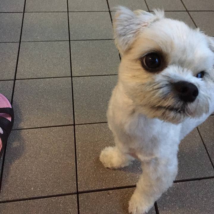 381de01f bca1 4915 b8be e32563fb41b6