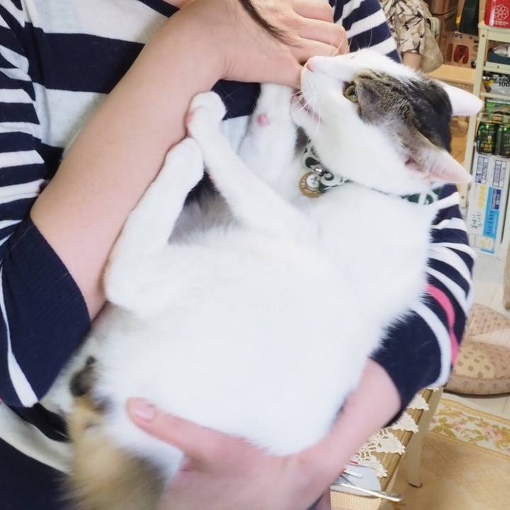 381e4ea6 68e8 4735 950c 302ea23a75d3