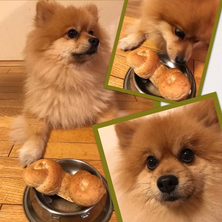 381e6c9d e6b8 46a1 a931 cb4232dad7b8