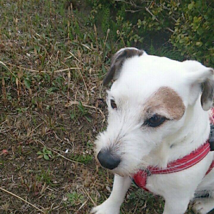 381e814e 199f 48ca 9096 272e4dd1962f