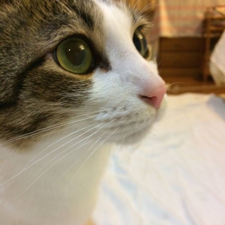 381ec77a 2582 47c6 999e 20092a33a83f