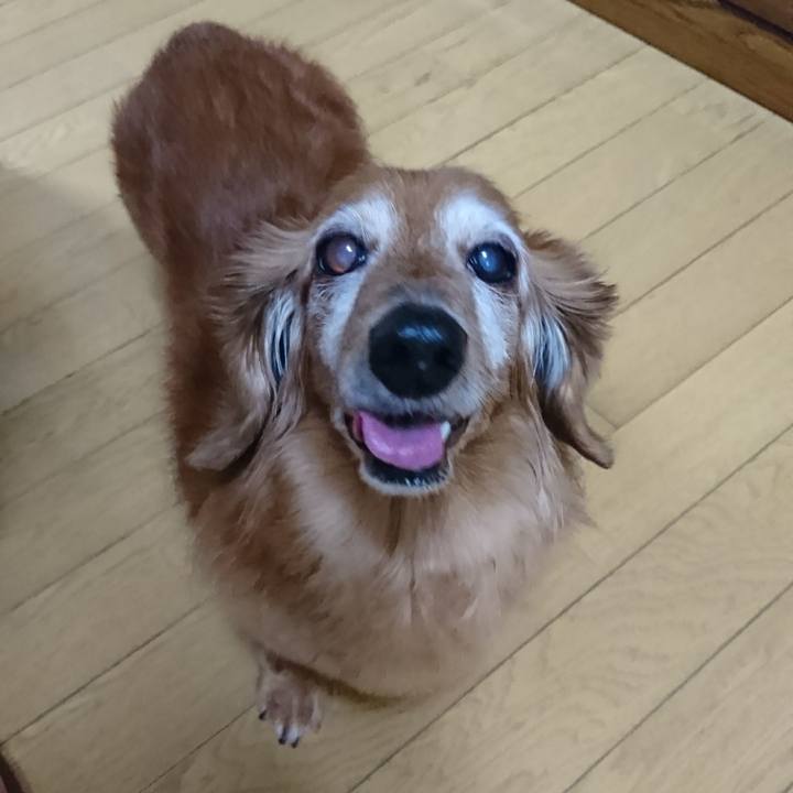 381fc154 d3fc 4a61 a559 bdbf1f56c4a7