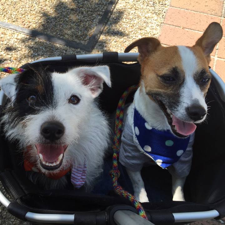 381fcf29 041a 45ca a860 134bd10ccf1b