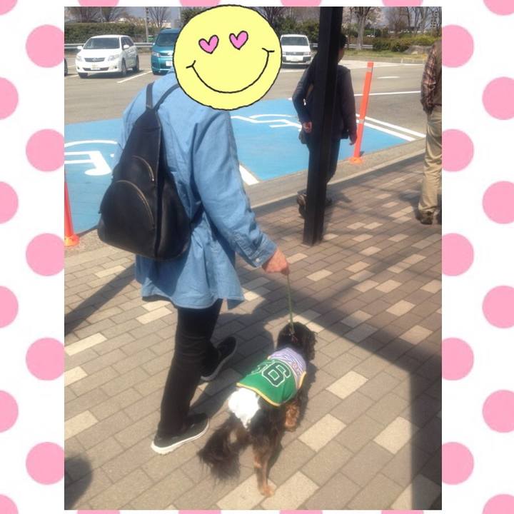 38202a54 4674 468e 97e1 e3040eab015c