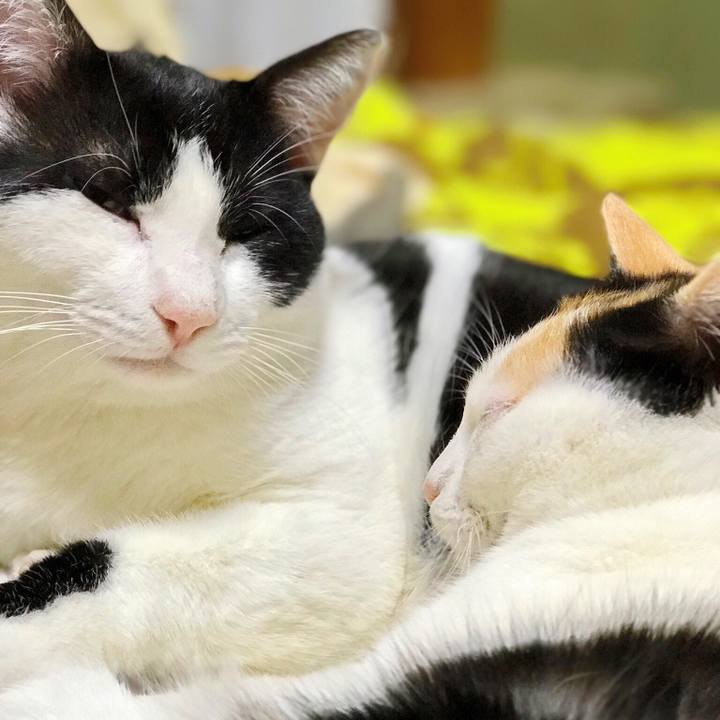 38206144 9552 4542 98bb 7c97cbe99169