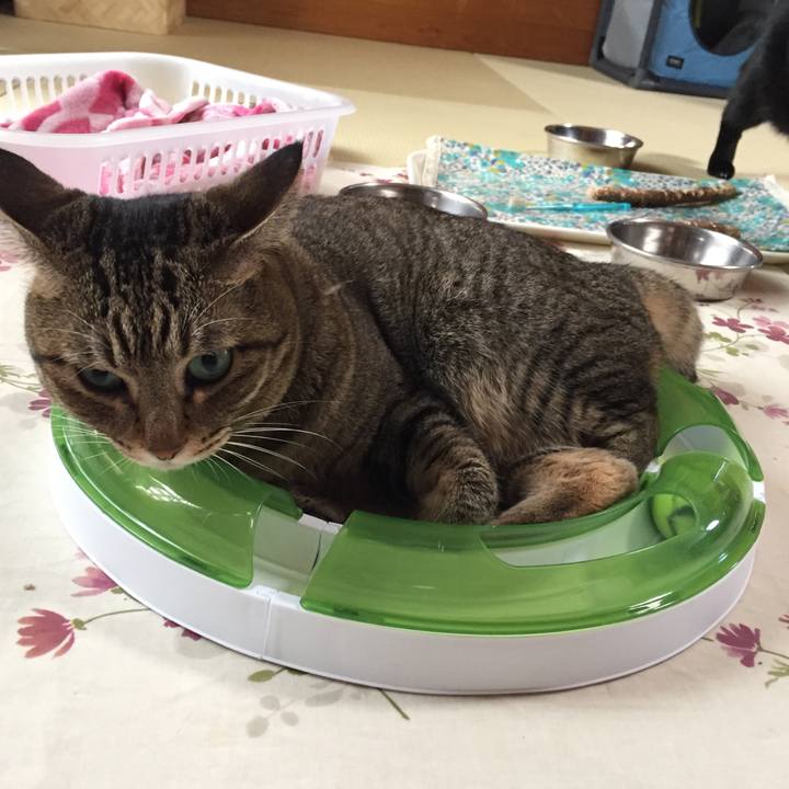 382167de c145 4ce6 98f9 3611768bce3b